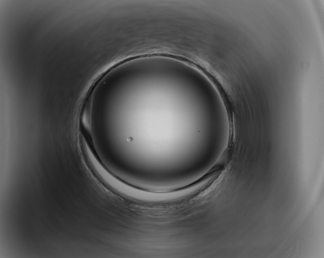 X0000094901500200712061018