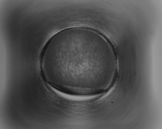 X0000094901501200712061018