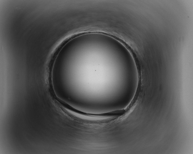 X0000094901502200712061018