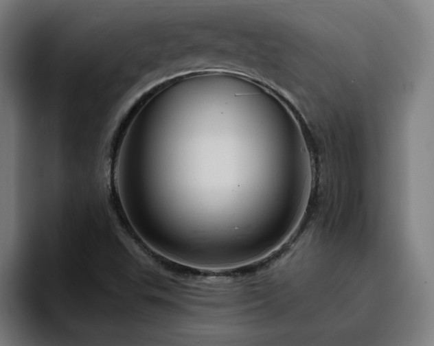 X0000094901503200712061018