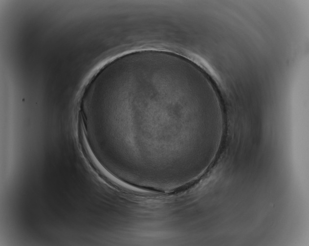 X0000094901504200712061018