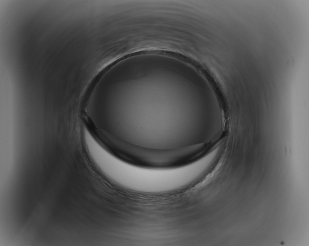 X0000094901505200712061018