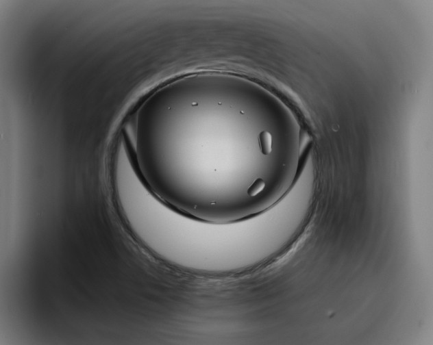 X0000094901506200712061018