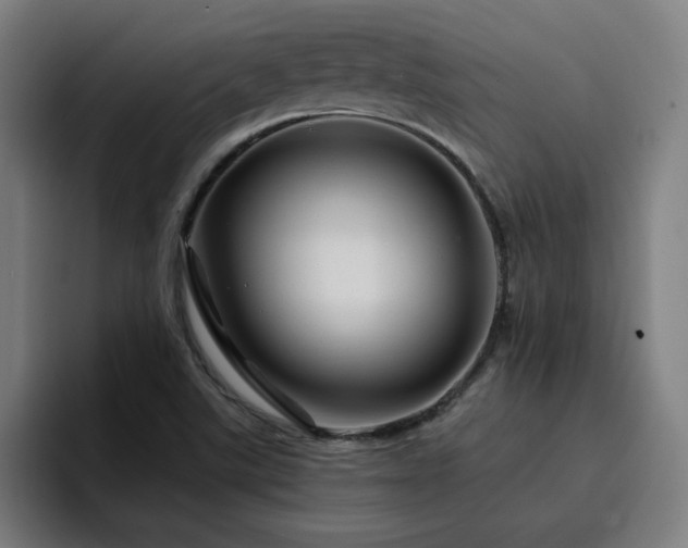 X0000094901507200712061018