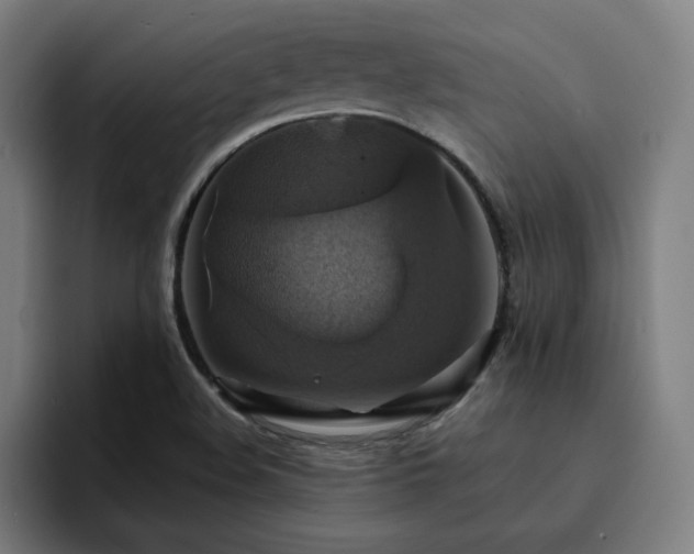 X0000094901508200712061018