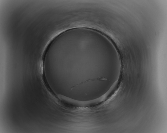 X0000094901509200712061018