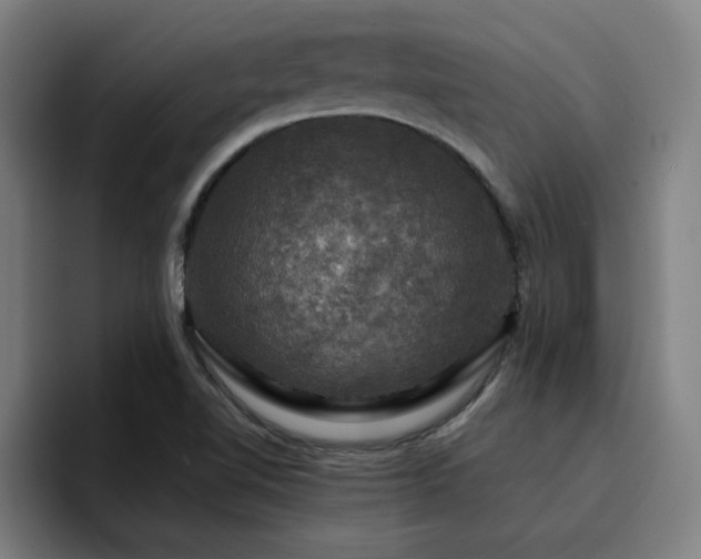 X0000094901510200712061018