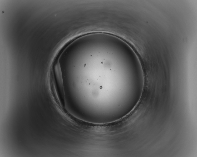 X0000094901511200712061018
