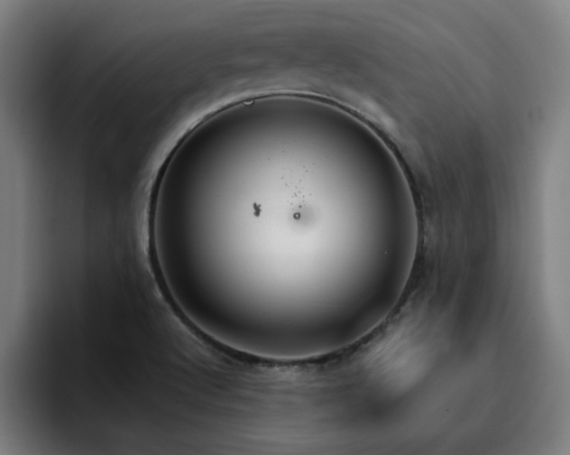 X0000094901512200712061018