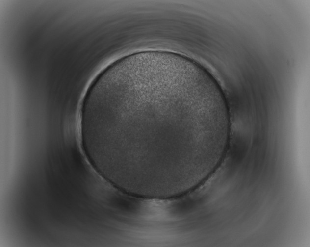 X0000094901514200712061018