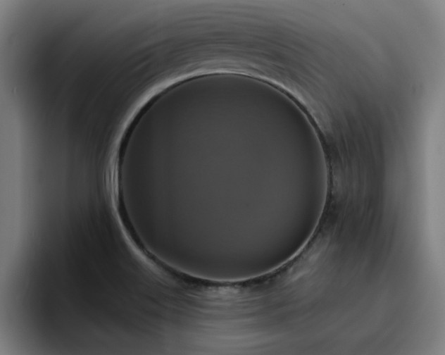 X0000094901515200712061018