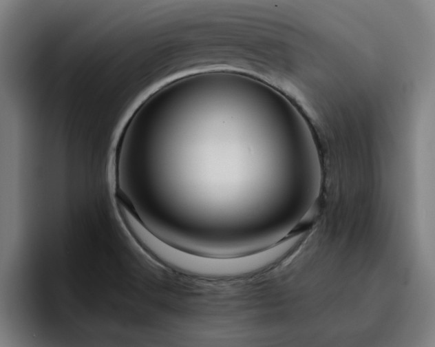 X0000094901516200712061018