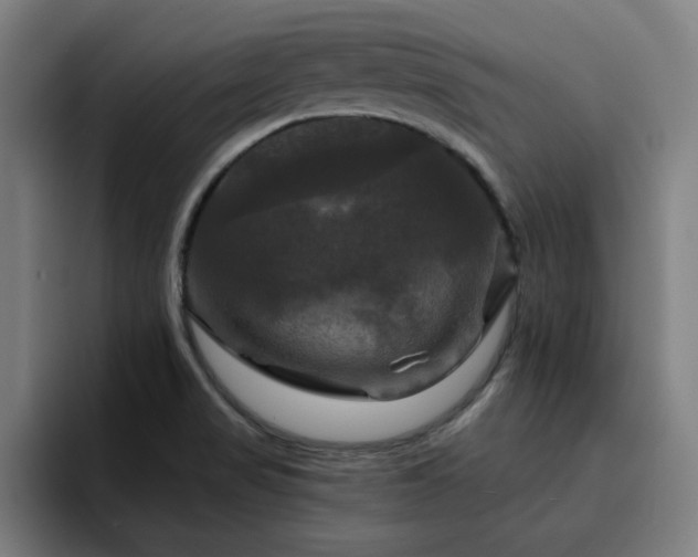 X0000094901517200712061018