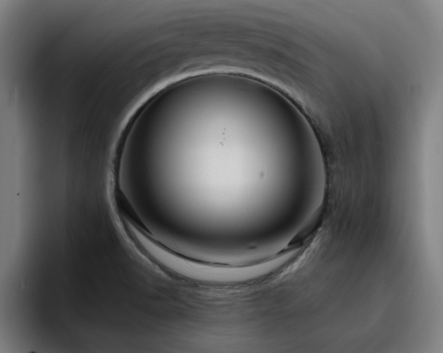 X0000094901518200712061018