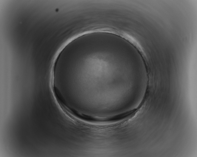 X0000094901520200712061018