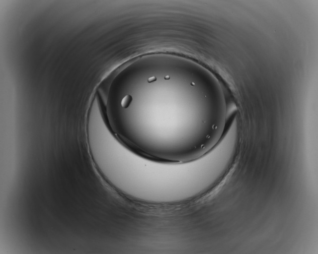 X0000094901521200712061018
