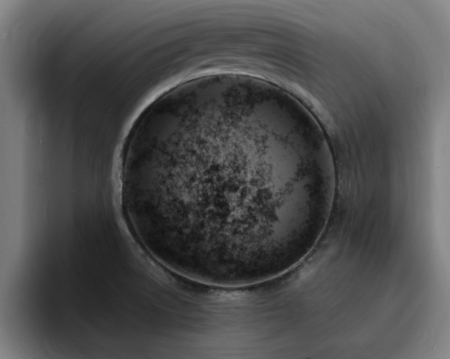 X0000094901522200712061018