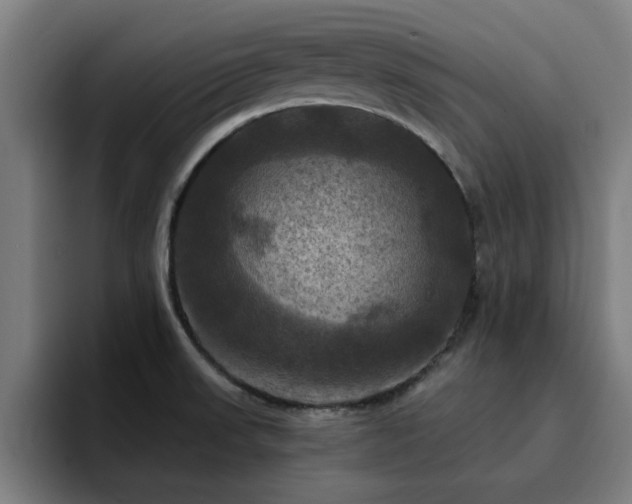 X0000094901523200712061018