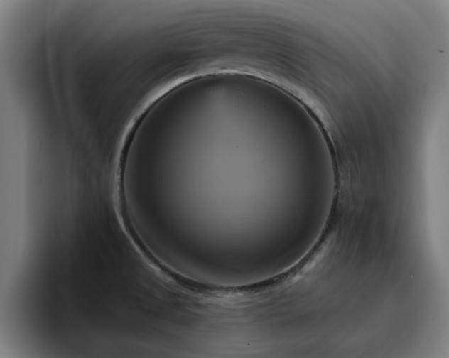 X0000094901525200712061018