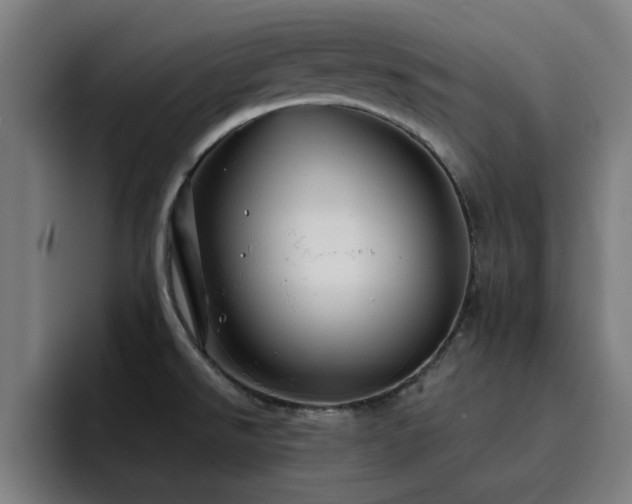 X0000094901526200712061018