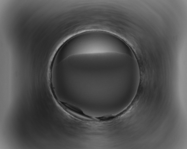 X0000094901527200712061018