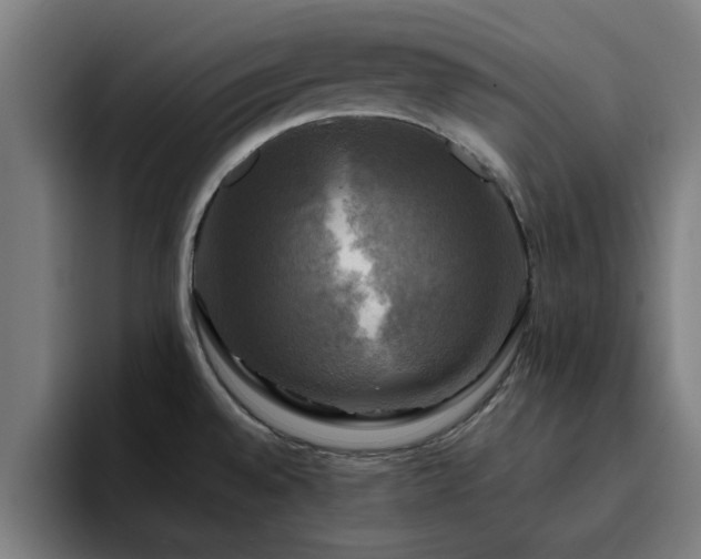 X0000094901528200712061018