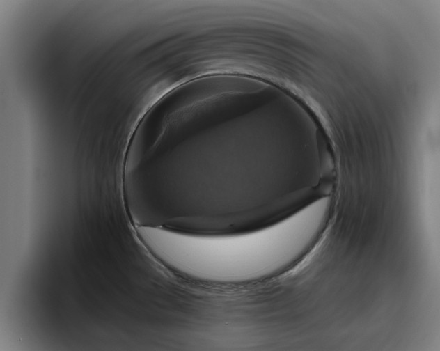 X0000094901529200712061018