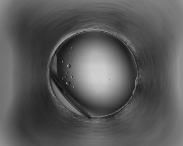 X0000094901530200712061018