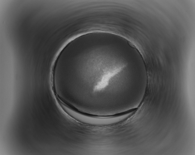 X0000094901531200712061018