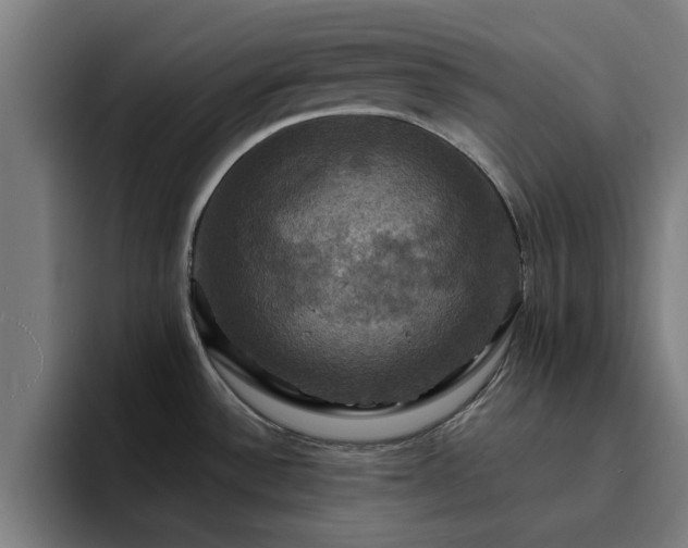 X0000094901532200712061018