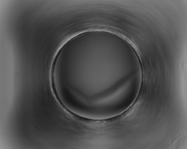 X0000094901533200712061018