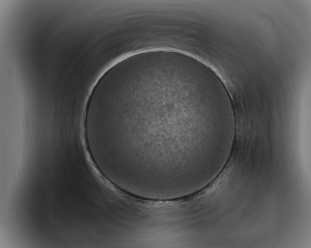 X0000094901534200712061018