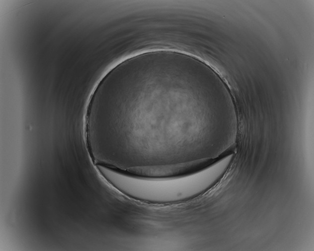 X0000094901535200712061018