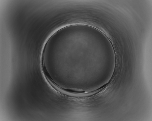 X0000094901536200712061018