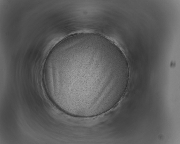 X0000094900001200712131441