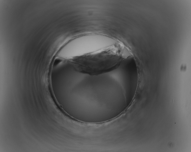 X0000094900002200712131441