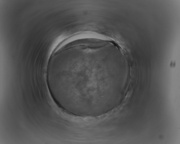 X0000094900003200712131441