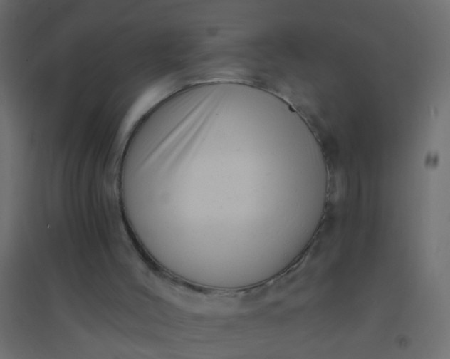 X0000094900004200712131441