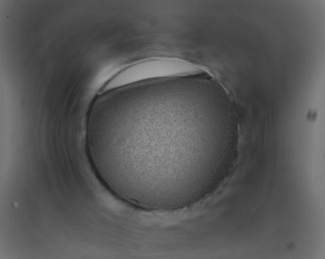 X0000094900005200712131441