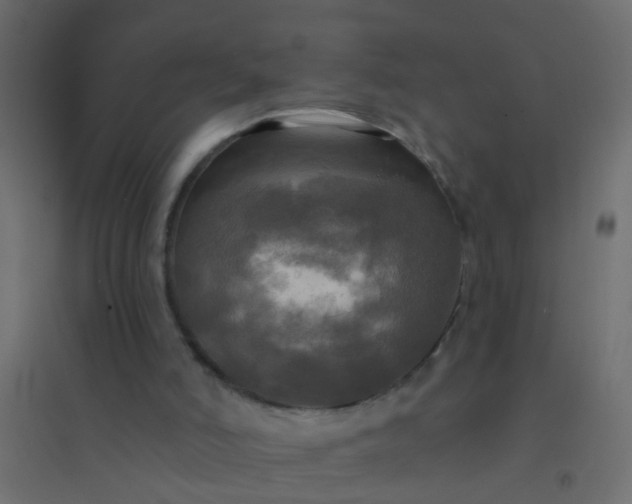 X0000094900006200712131440