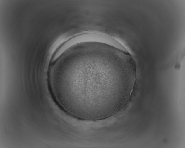 X0000094900007200712131440