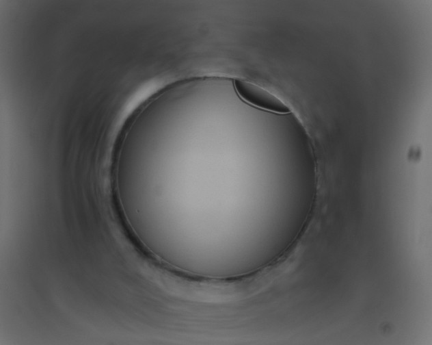X0000094900008200712131440