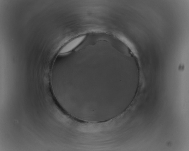 X0000094900009200712131440