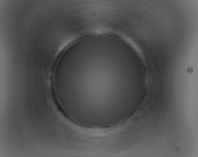 X0000094900010200712131440