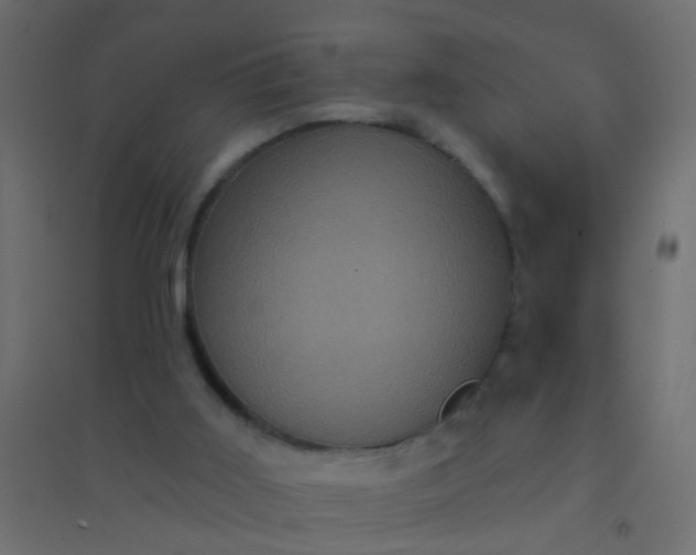 X0000094900011200712131440