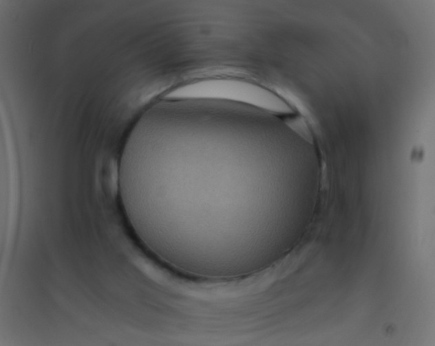 X0000094900013200712131440