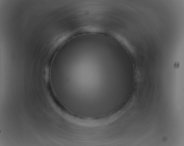 X0000094900014200712131440