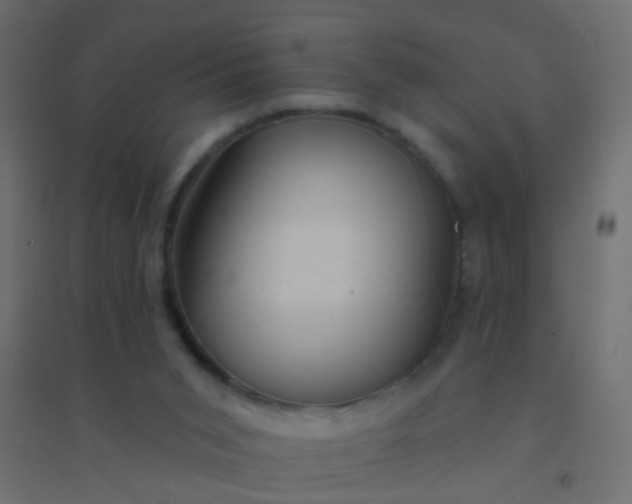 X0000094900015200712131440
