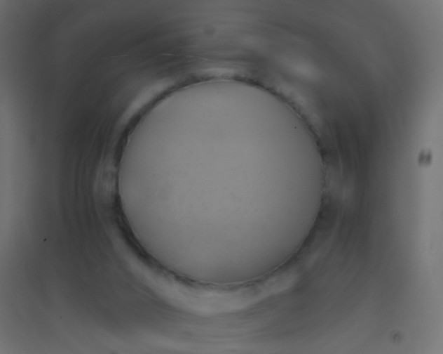 X0000094900016200712131440