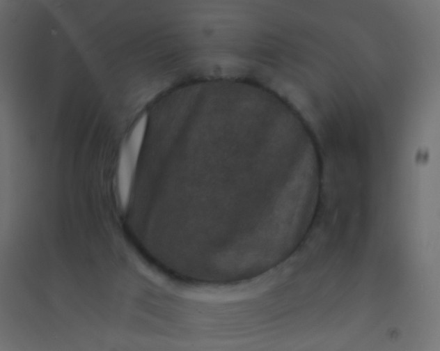 X0000094900017200712131440